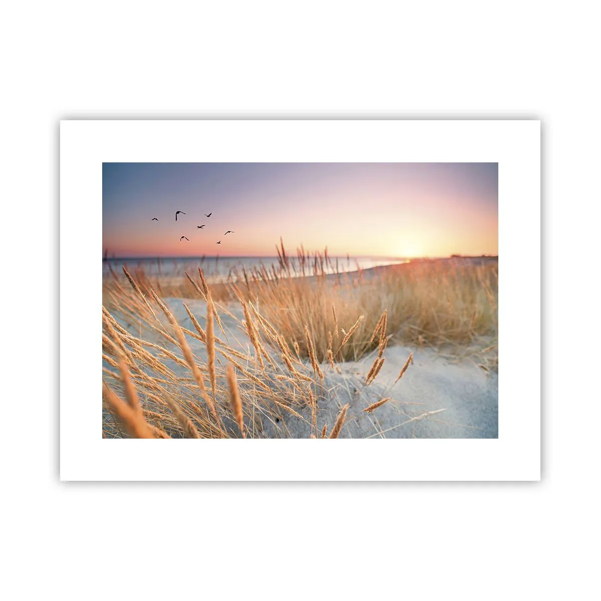 Poster - Cântec de leagăn baltic - 40x30 cm