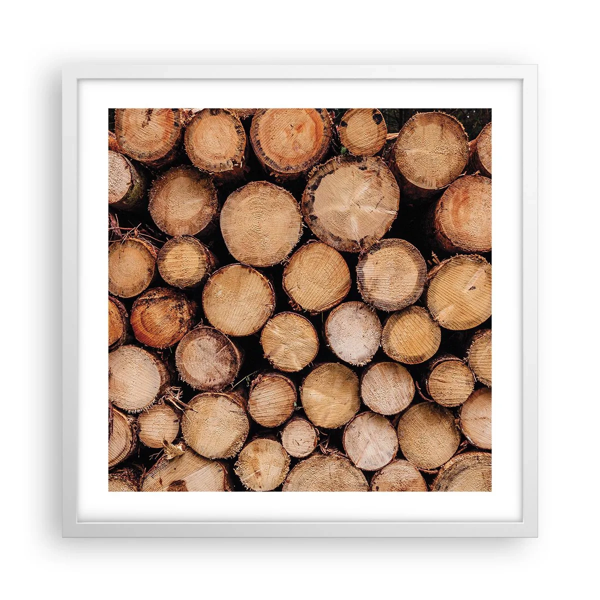 Poster în ramă albă - Un nou început - 50x50 cm