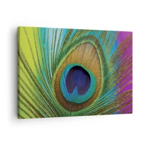 Tablou pe pânză Canvas - Prim-plan al unei pene de păun cu culori vii - 70x50cm - Ochi în ochi - Decorațiune modernă pentru perete pentru living și dormitor ARTTOR