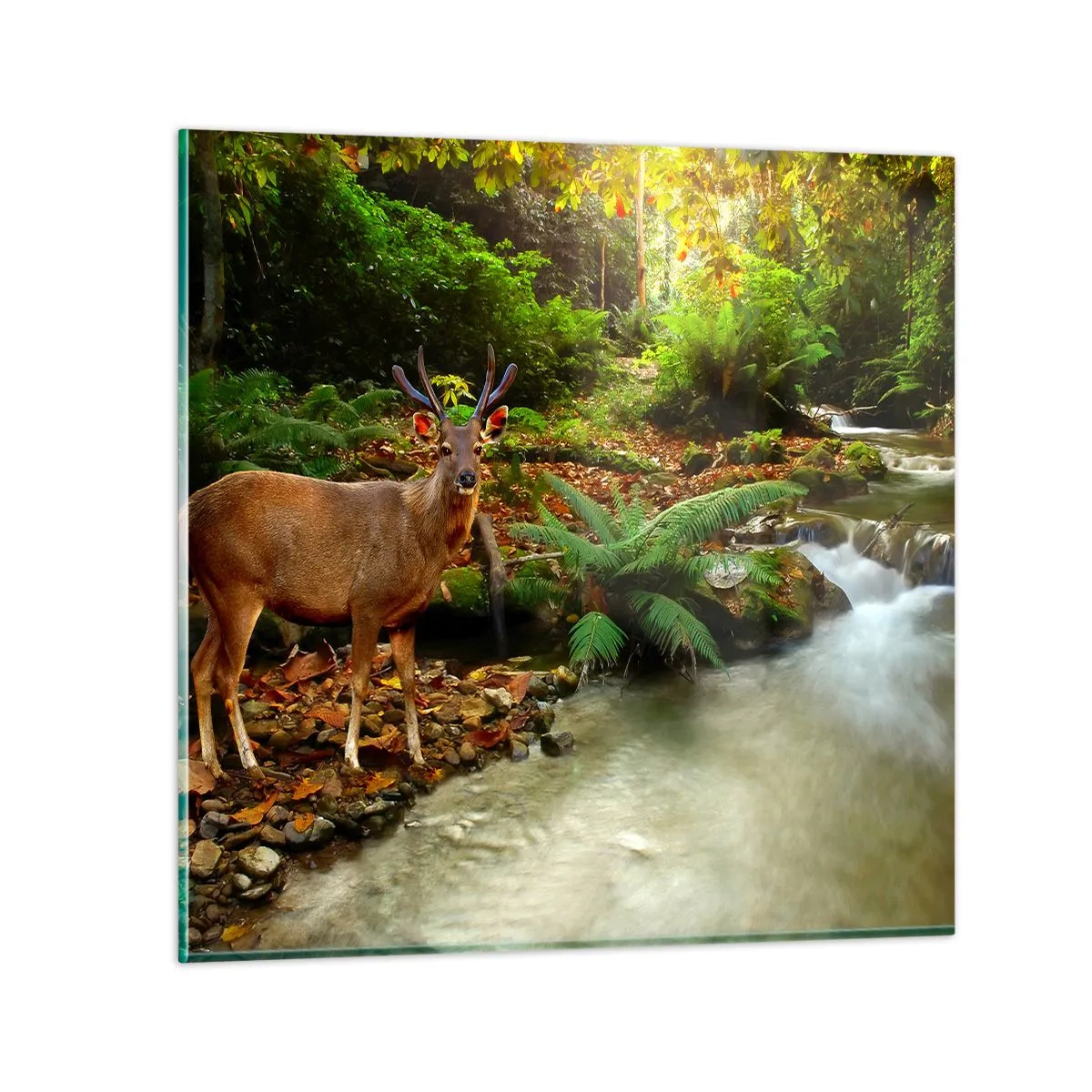 Tablou pe sticlă - Bun venit în lumea mea - 60x60 cm