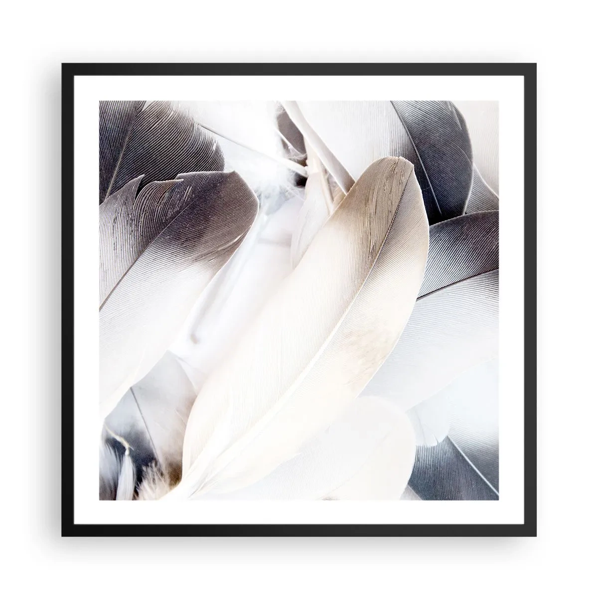 Poster în ramă neagră - Aproape angelice - 60x60 cm