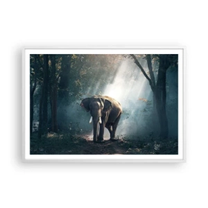 Poster în ramă albă - O plimbare liniștită - 100x70 cm