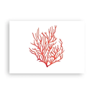 Poster - Coral filigranat - 100x70 cm
