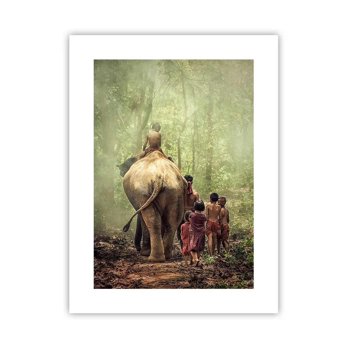 Poster - Noua Carte a Junglei - 30x40 cm