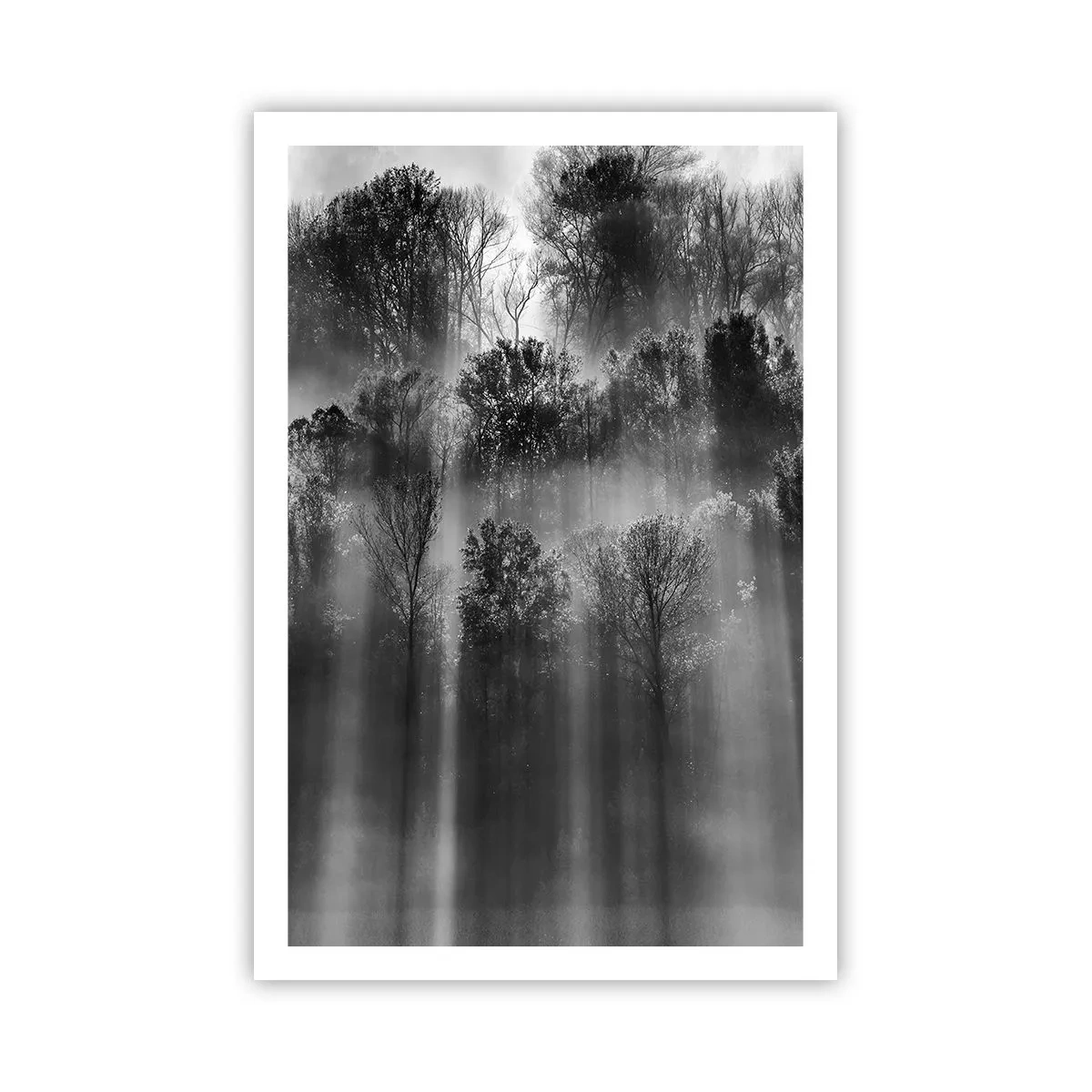 Poster - În fluxuri de lumină - 61x91 cm