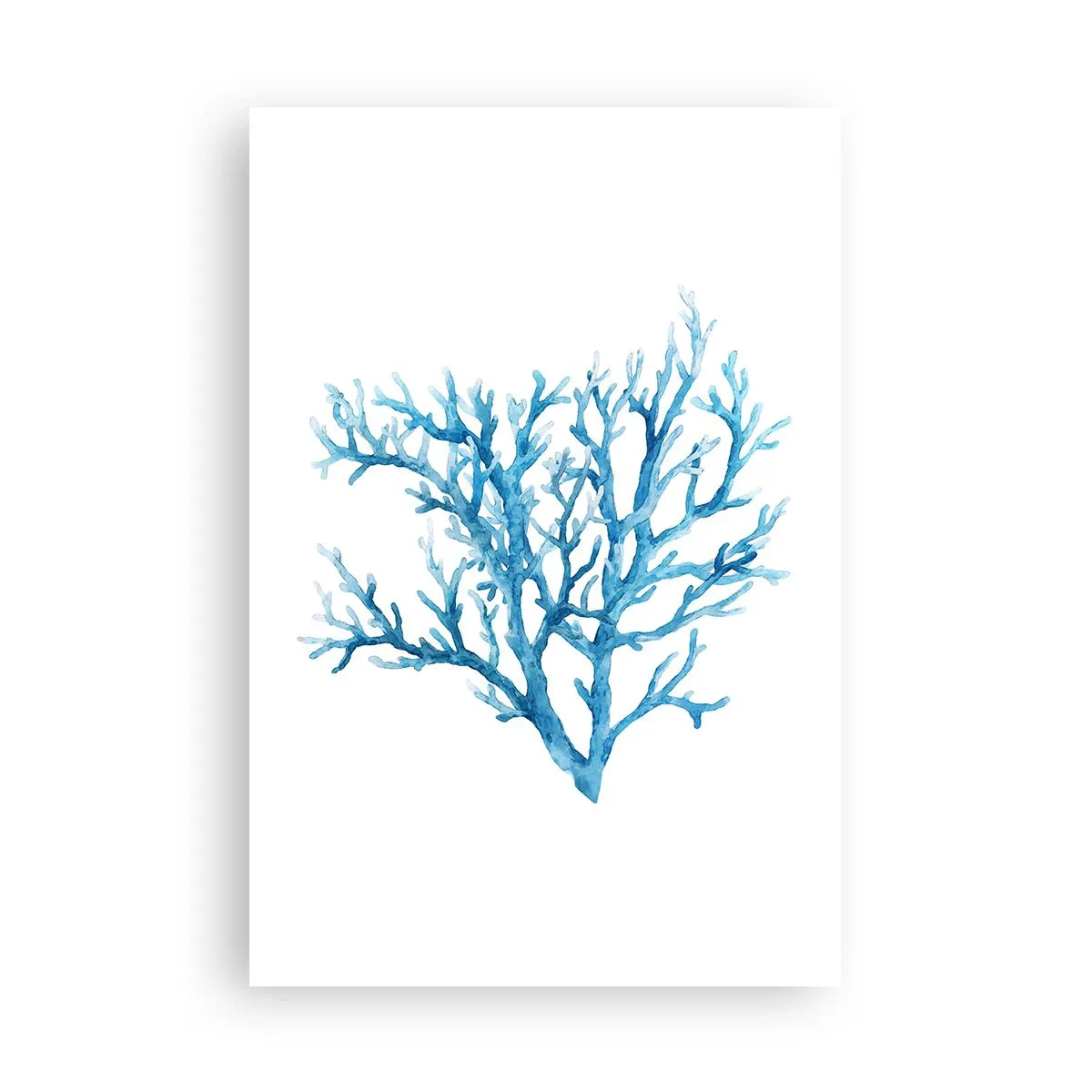 Poster - Filigranul marin - 61x91 cm