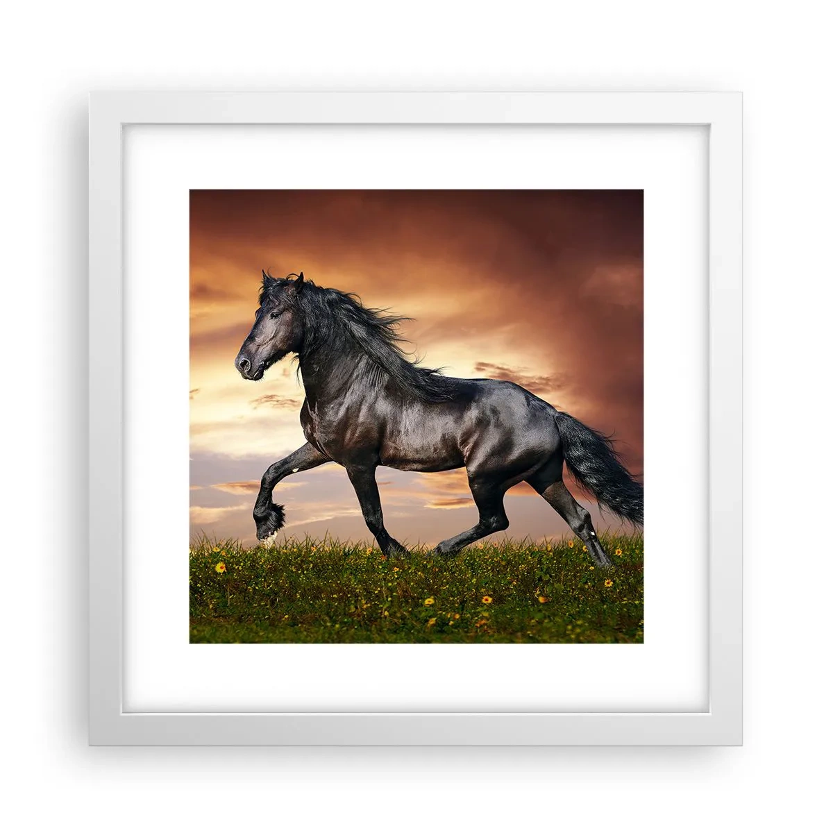 Poster în ramă albă - Prințul negru - 30x30 cm