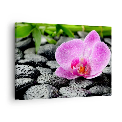 Tablou pe pânză Canvas - Orhidee roz pe pietre negre ude cu frunze verzi - 70x50cm - Ca o inimă deschisă - Decorațiune modernă pentru perete pentru living și dormitor ARTTOR