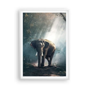 Poster în ramă albă - O plimbare liniștită - 70x100 cm