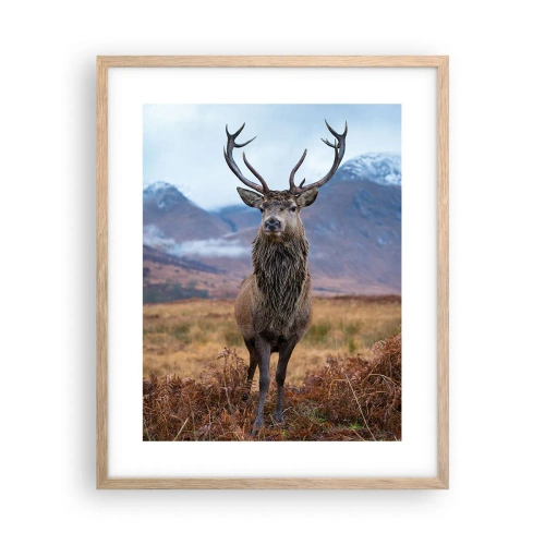 Poster în ramă de stejar deschis - Pe propriul lui teritoriu - 40x50 cm