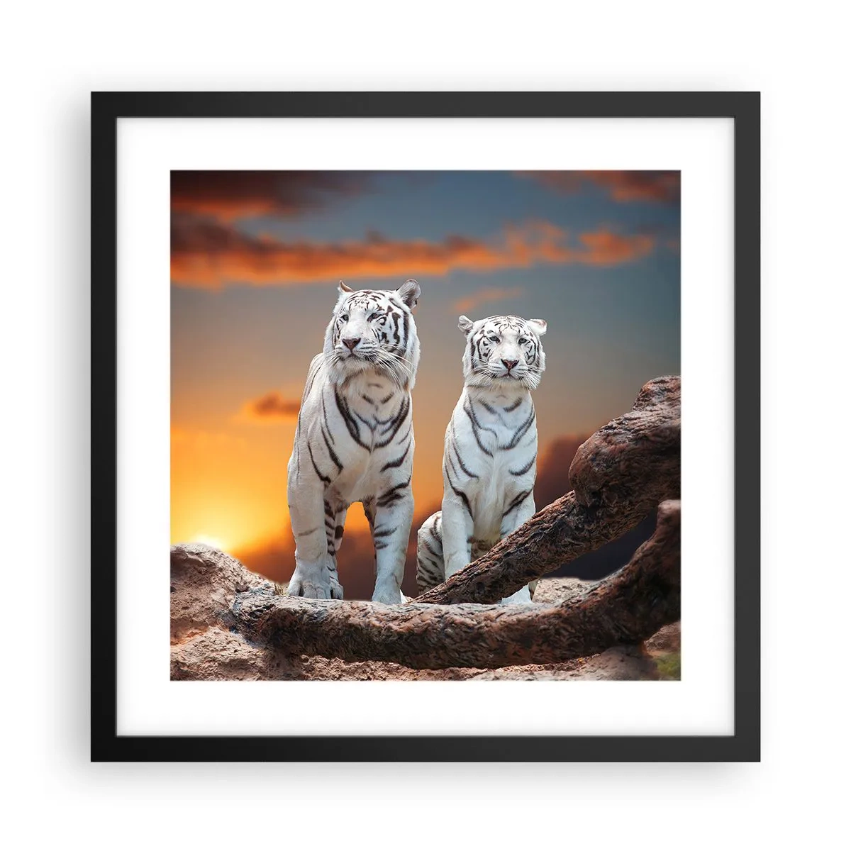 Poster în ramă neagră - La fel ca în Narnia - 40x40 cm