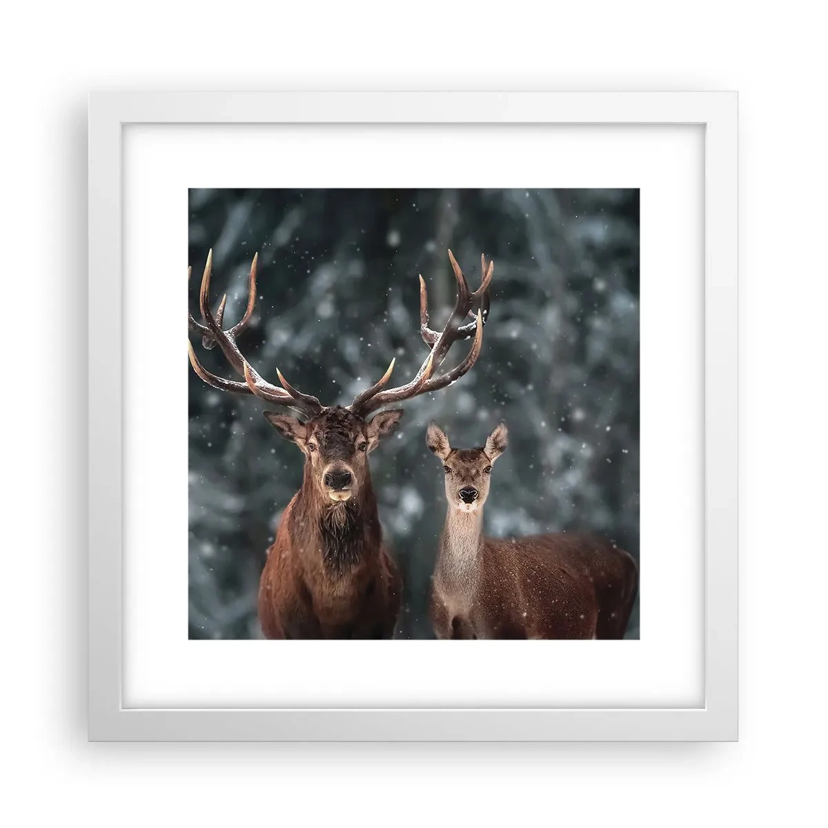 Poster în ramă albă - Stăpânul pădurii și soția sa - 30x30 cm