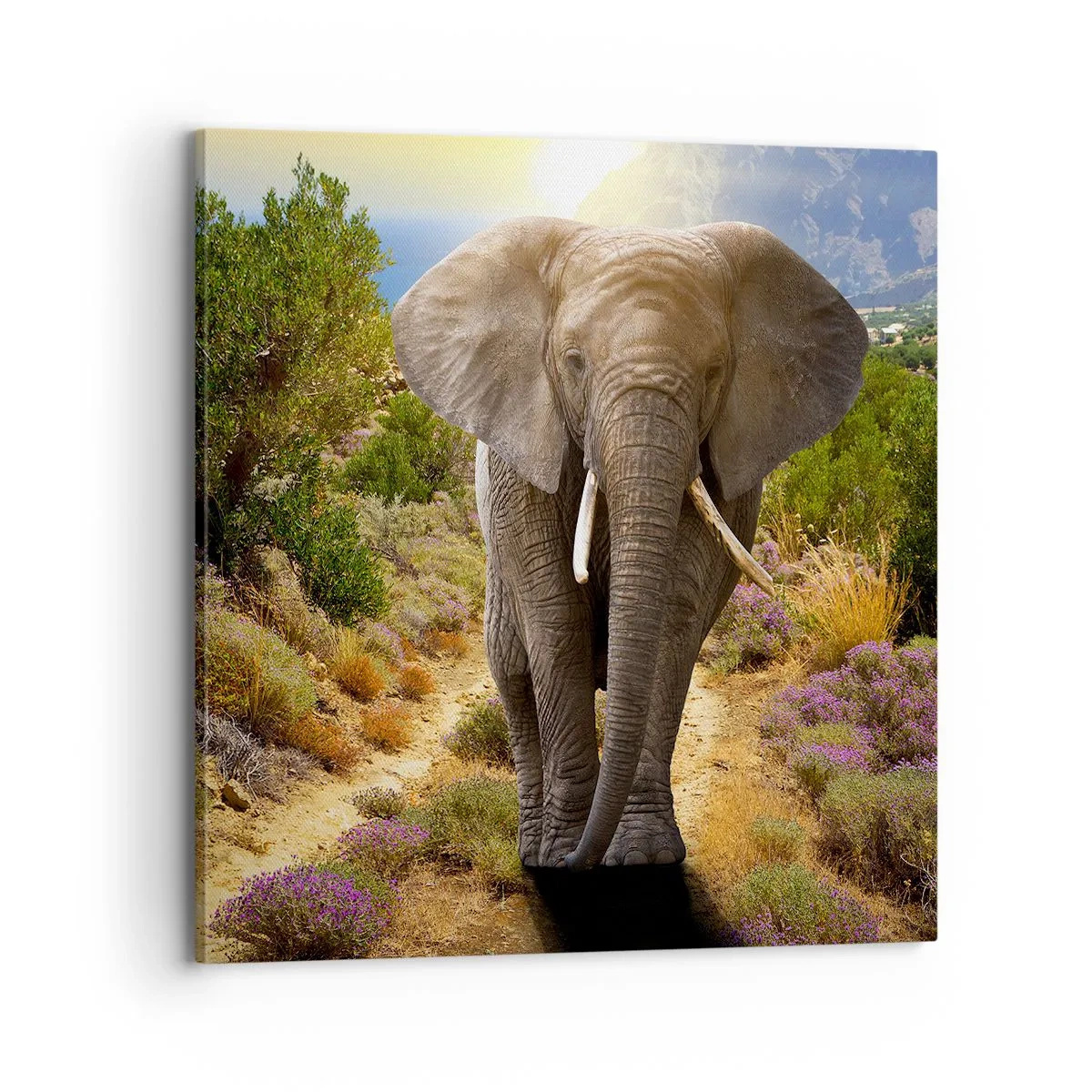 Tablou pe pânză - Iată cum arăta Edenul - 70x70 cm