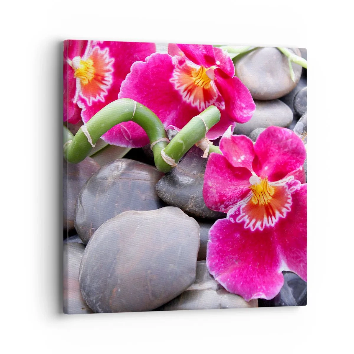 Tablou pe pânză - Frig și căldură - 40x40 cm