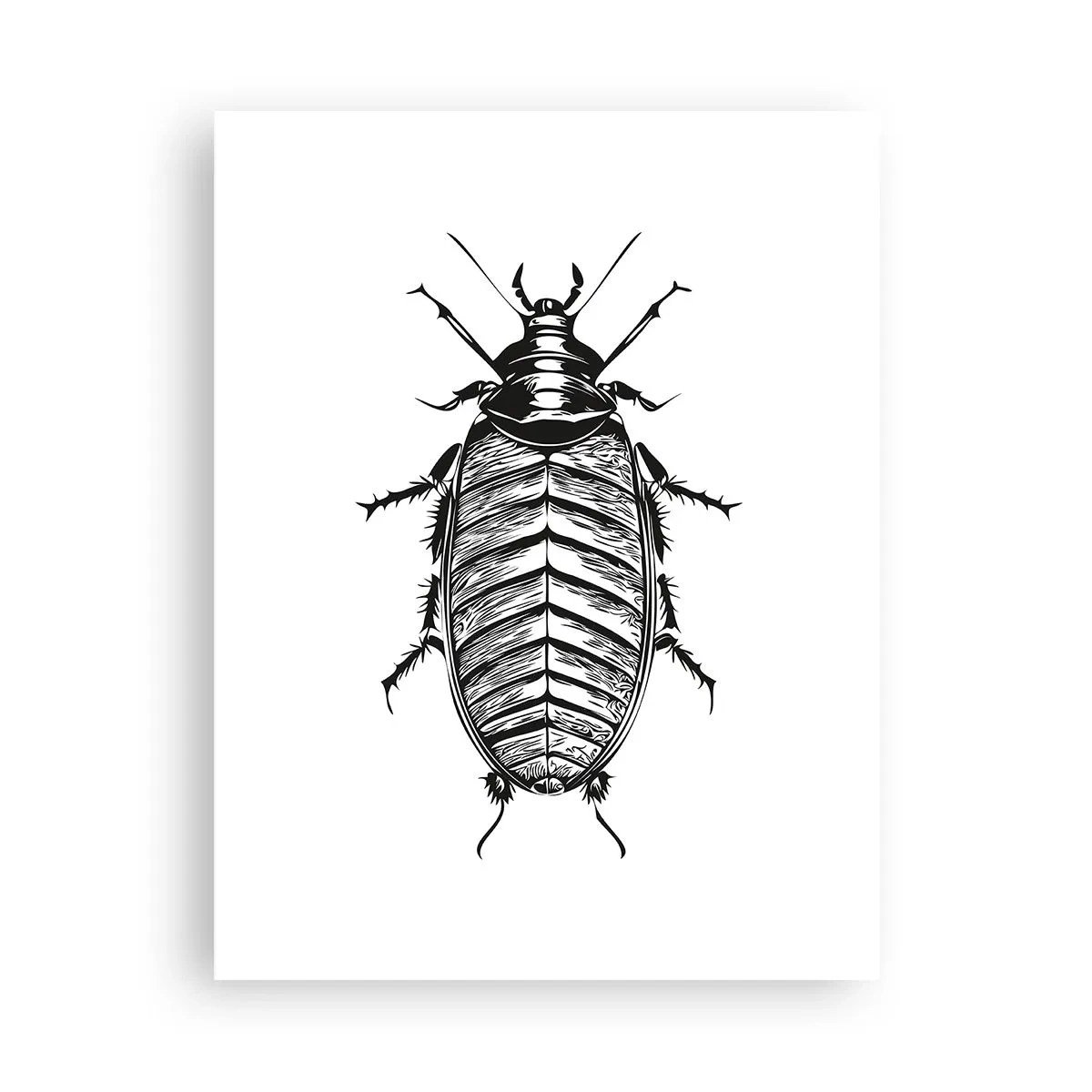 Poster - Ce specimen! - 30x40 cm