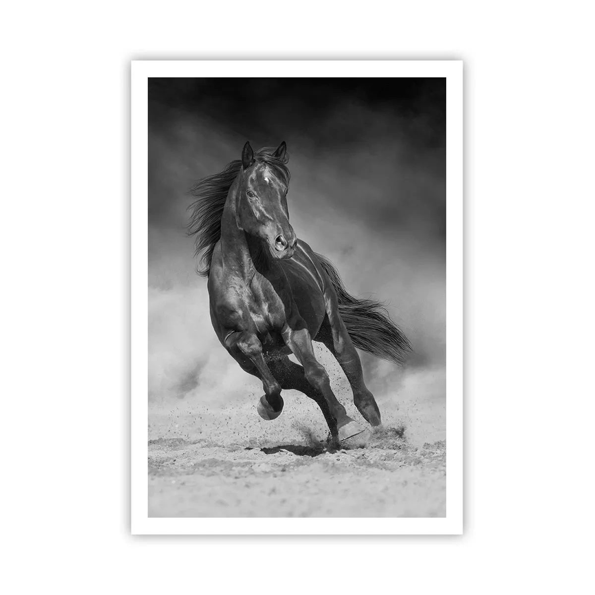 Poster - Dorința emirului - 70x100 cm