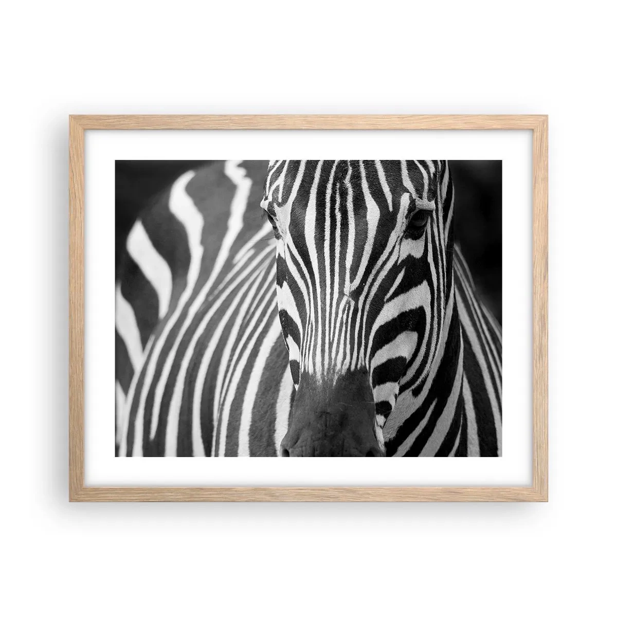 Poster în ramă de stejar deschis - Lumea e albă și neagră - 50x40 cm