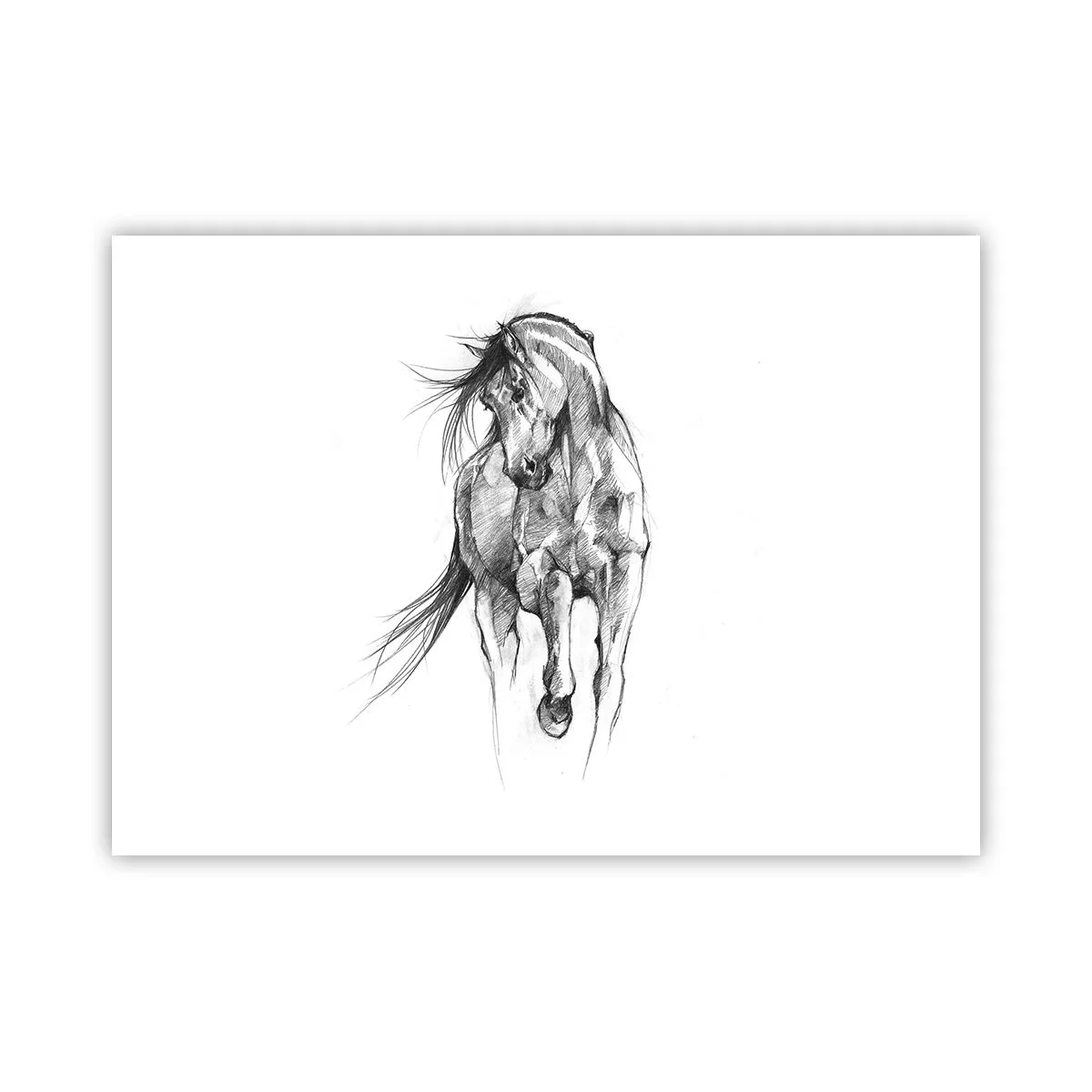 Poster - Într-un trap grațios - 70x50 cm