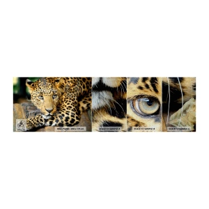 Mostră tapet Premium Sand - Nu-ți fie teamă, apropie-te - Animale, Panteră, Pisica sălbatică - 100x30 cm