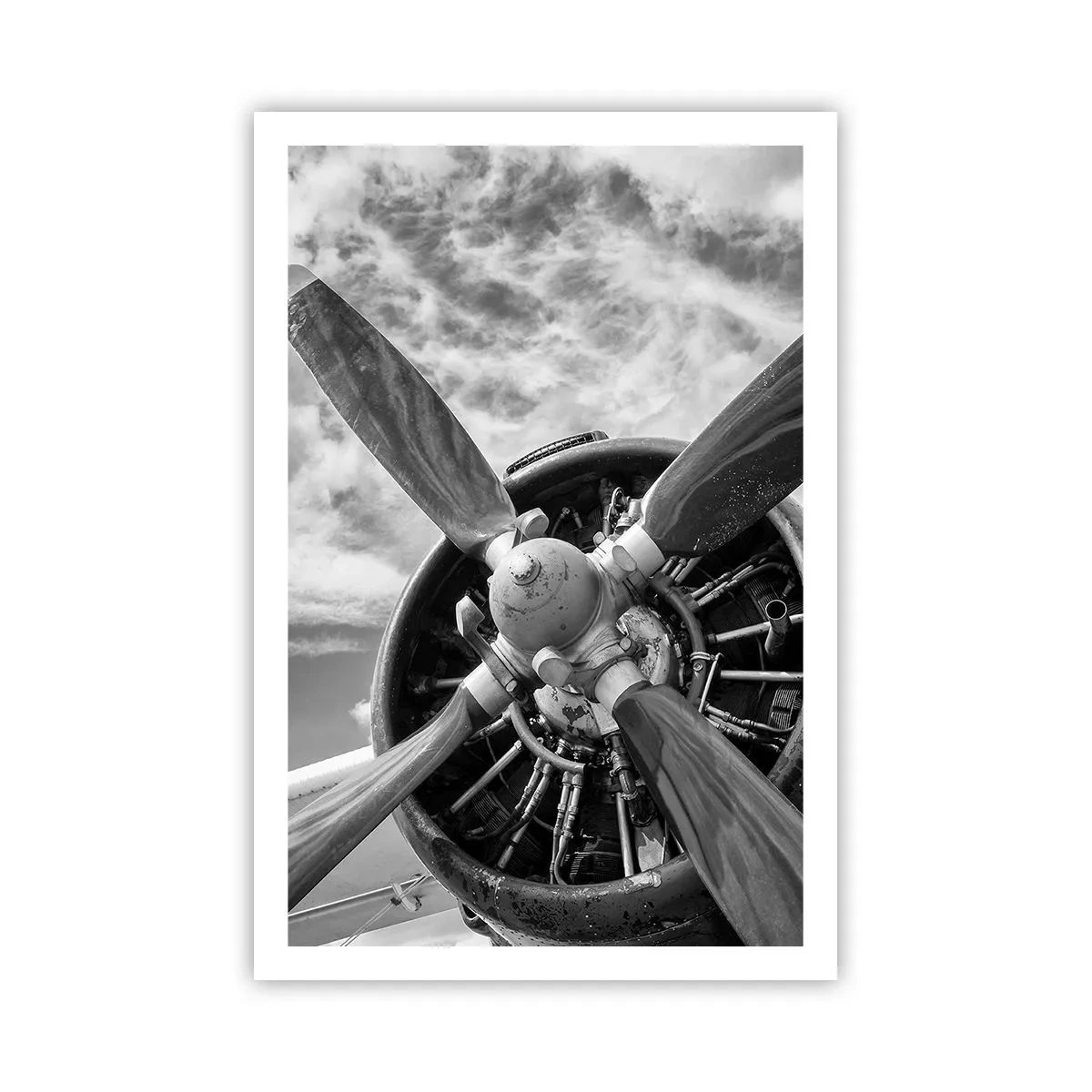 Poster - Cuceritorul cerului - 61x91 cm