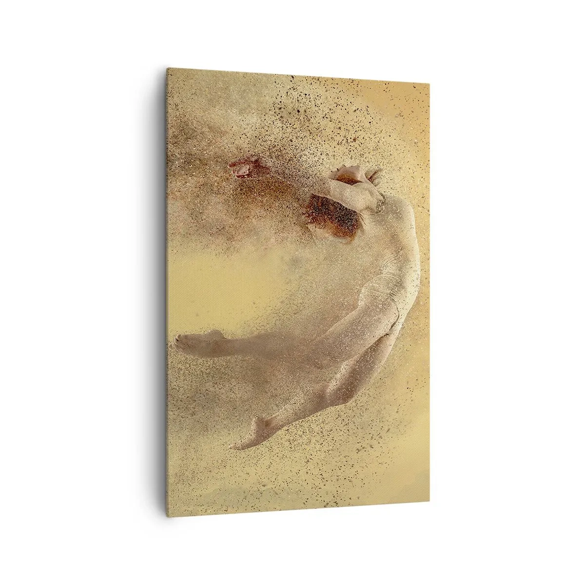 Tablou pe pânză - În exaltare de dans - 80x120 cm