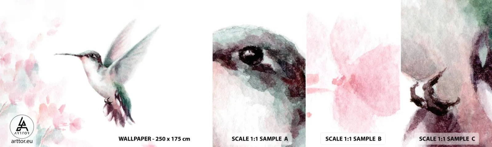 Mostră de Tapet Standard Eco - Oprit în mișcare - Pasărea Colibri, Pasăre, Bucată - 100x30 cm