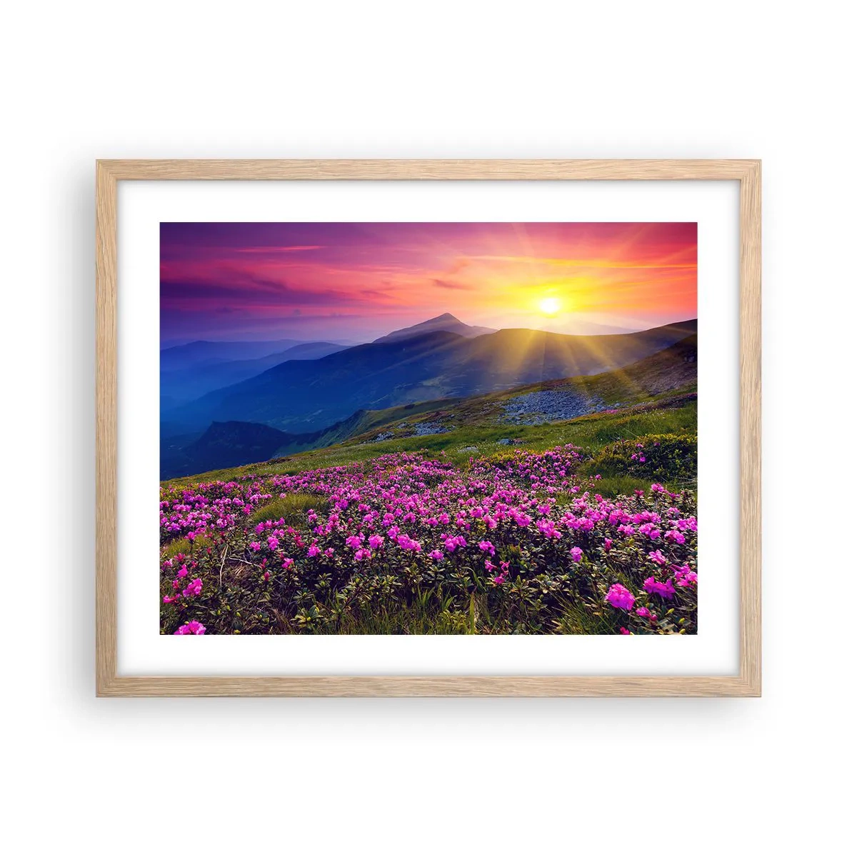 Poster în ramă de stejar deschis - ... Și peste tot în jur se simte un miros de jneapăn și parfum de ierburi... - 50x40 cm