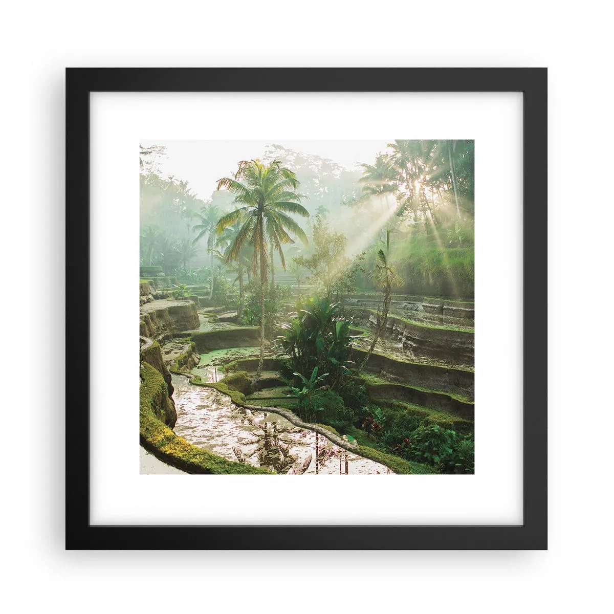 Poster în ramă neagră - Crescând la soare - 30x30 cm