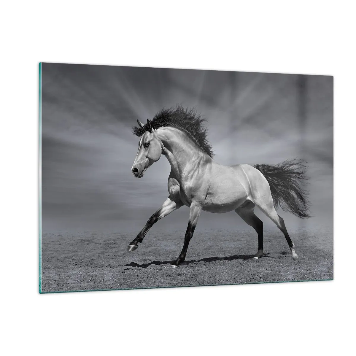 Tablou pe sticlă - Născut pentru a încânta - 120x80 cm