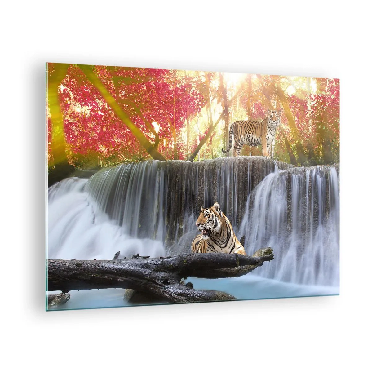 Tablou pe sticlă - Tigri pe fundalul unei cascade și al unui peisaj de toamnă - 70x50cm - Peisaj suprarealist - Decorațiune modernă pentru perete pentru living și dormitor ARTTOR
