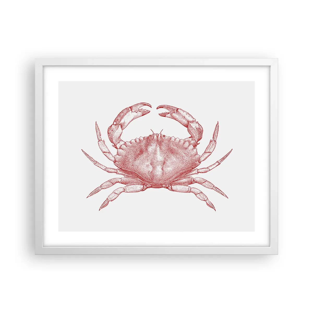 Poster în ramă albă - Crab peste crabi - 50x40 cm