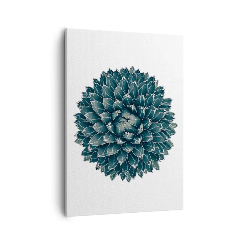 Tablou pe pânză - Steaua deșertului - 50x70 cm