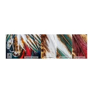 Mostră de Tapet Standard Eco - Secretele zborului - Abstracția, Bucată, Boho - 100x30 cm