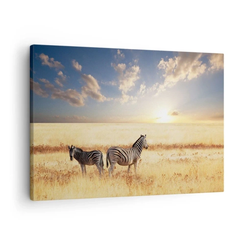 Tablou pe pânză Canvas - Două zebre pe savană în razele soarelui apus - 70x50cm - Plecați, nu tulburați liniștea - Decorațiune modernă pentru perete pentru living și dormitor ARTTOR