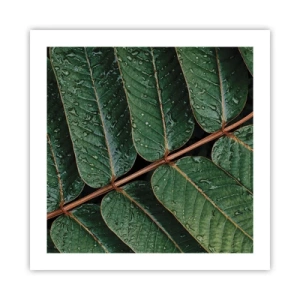 Poster - Într-un ritm verde - 50x50 cm
