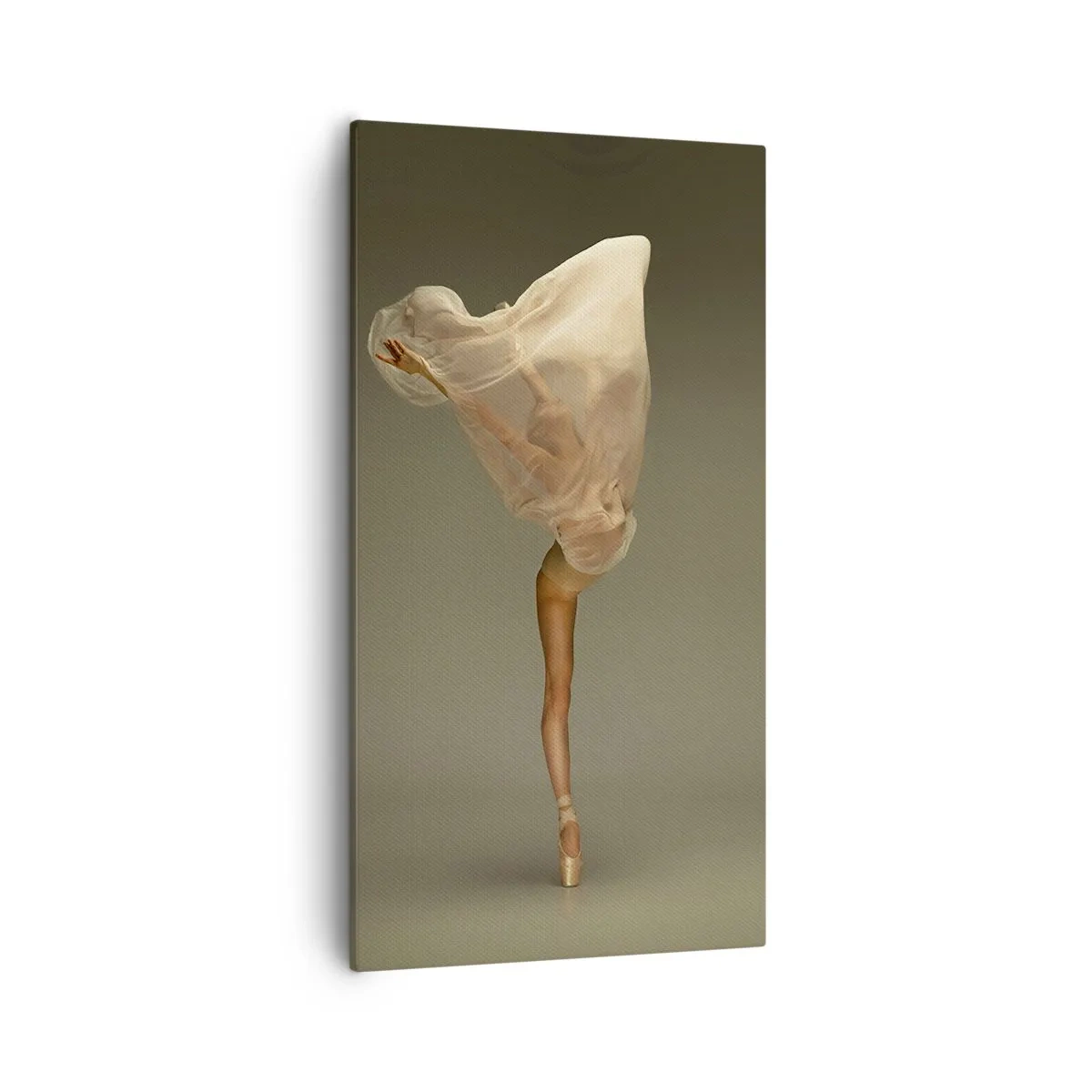 Tablou pe pânză - Pe cale să zboare - 55x100 cm