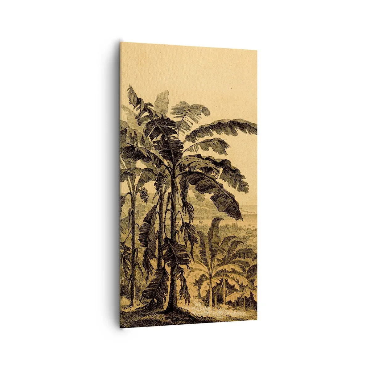 Tablou pe pânză - În stil colonial - 65x120 cm