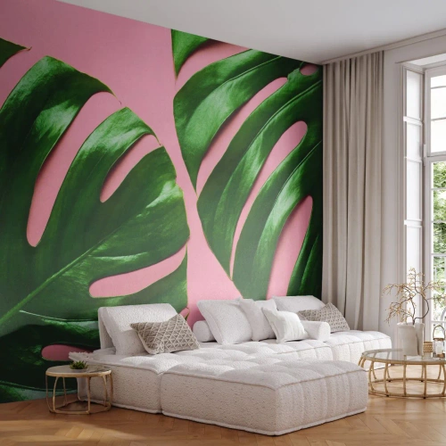 Tapet Autoadeziv Deluxe Sticker - Întâlnire verde - Monstera, Frunză verde, Plantă exotică - 350x256 cm