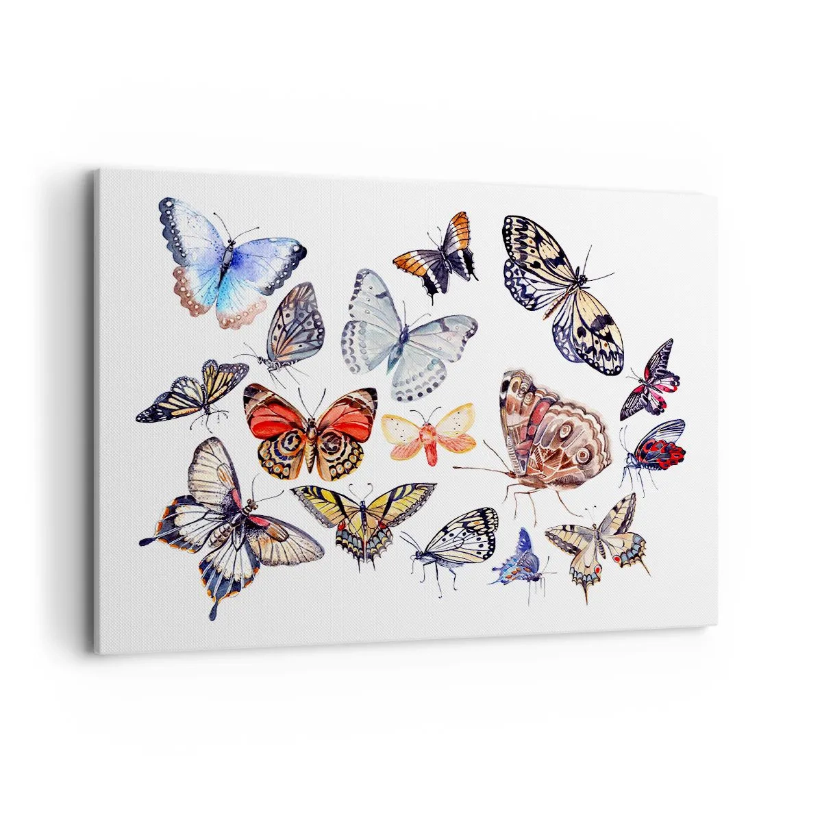 Tablou pe pânză - Un roi colorat de dantelă - 100x70 cm