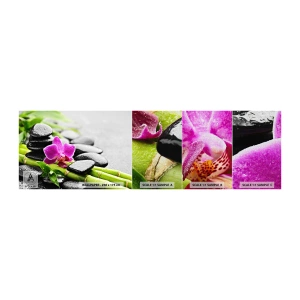 Mostră tapet Premium Canvas - Într-un echilibru pașnic - Flori, Orhidee, Orhidee - 100x30 cm