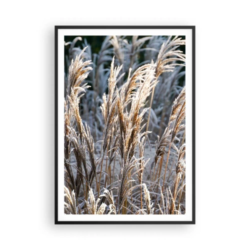 Poster în ramă neagră - Împodobite cu brumă - 70x100 cm