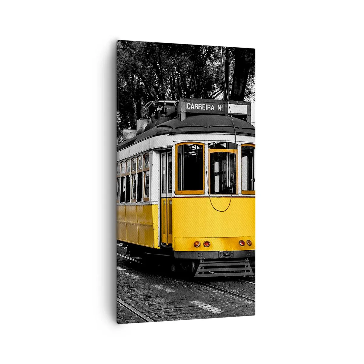 Tablou pe pânză - Sună fado în fundal - 55x100 cm