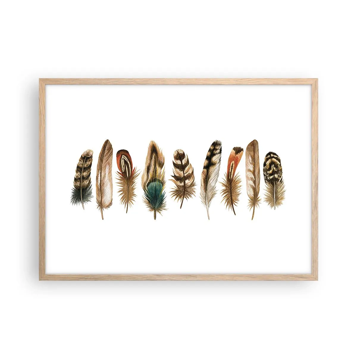Poster în ramă de stejar deschis - Variație cu pene - 70x50 cm