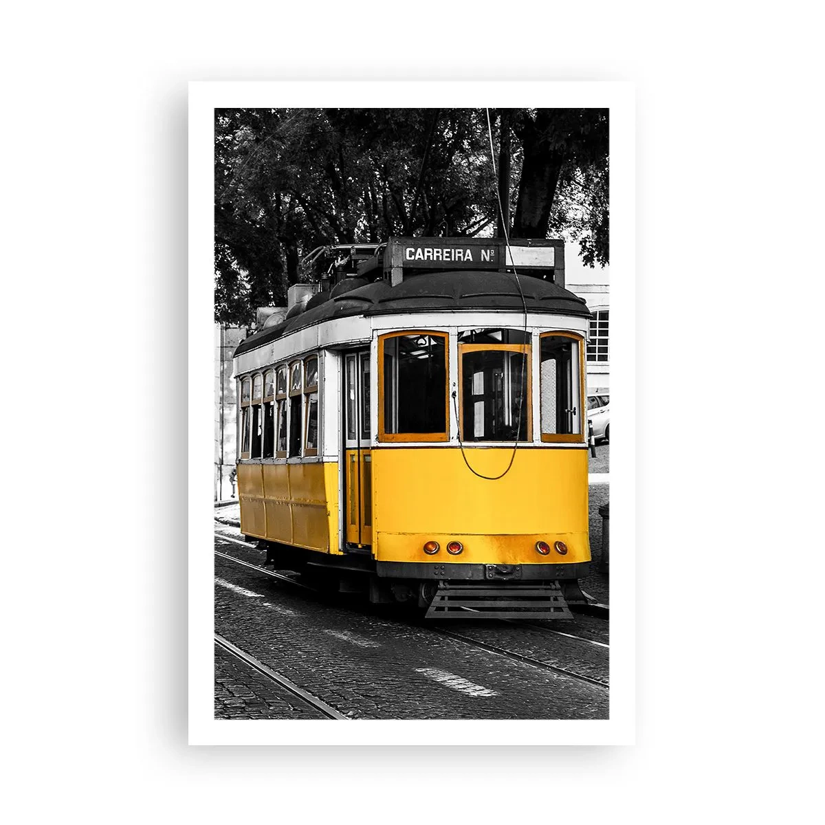 Poster - Sună fado în fundal - 61x91 cm