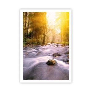 Poster - Malachit în rame de argint și aur - 70x100 cm