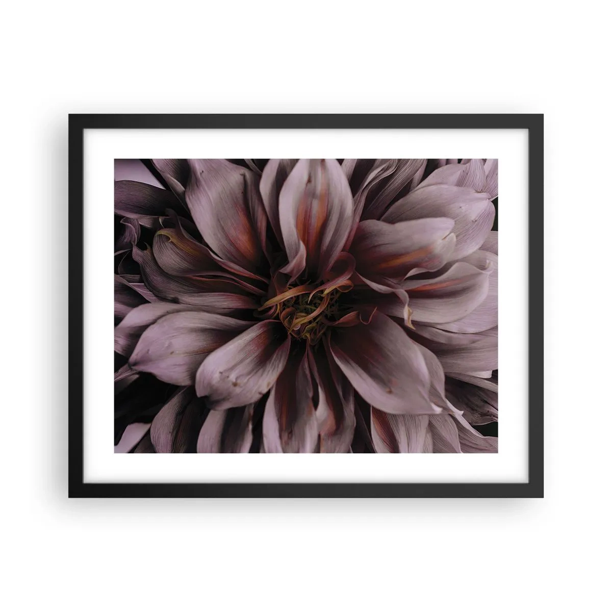 Poster în ramă neagră - Inimă florală - 50x40 cm