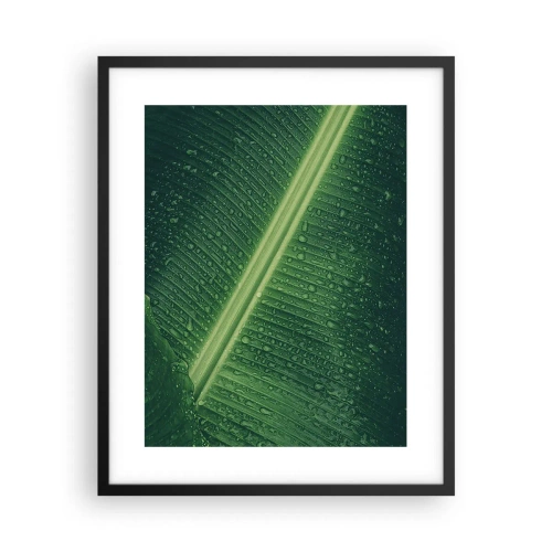 Poster în ramă neagră - Structura verdelui - 40x50 cm