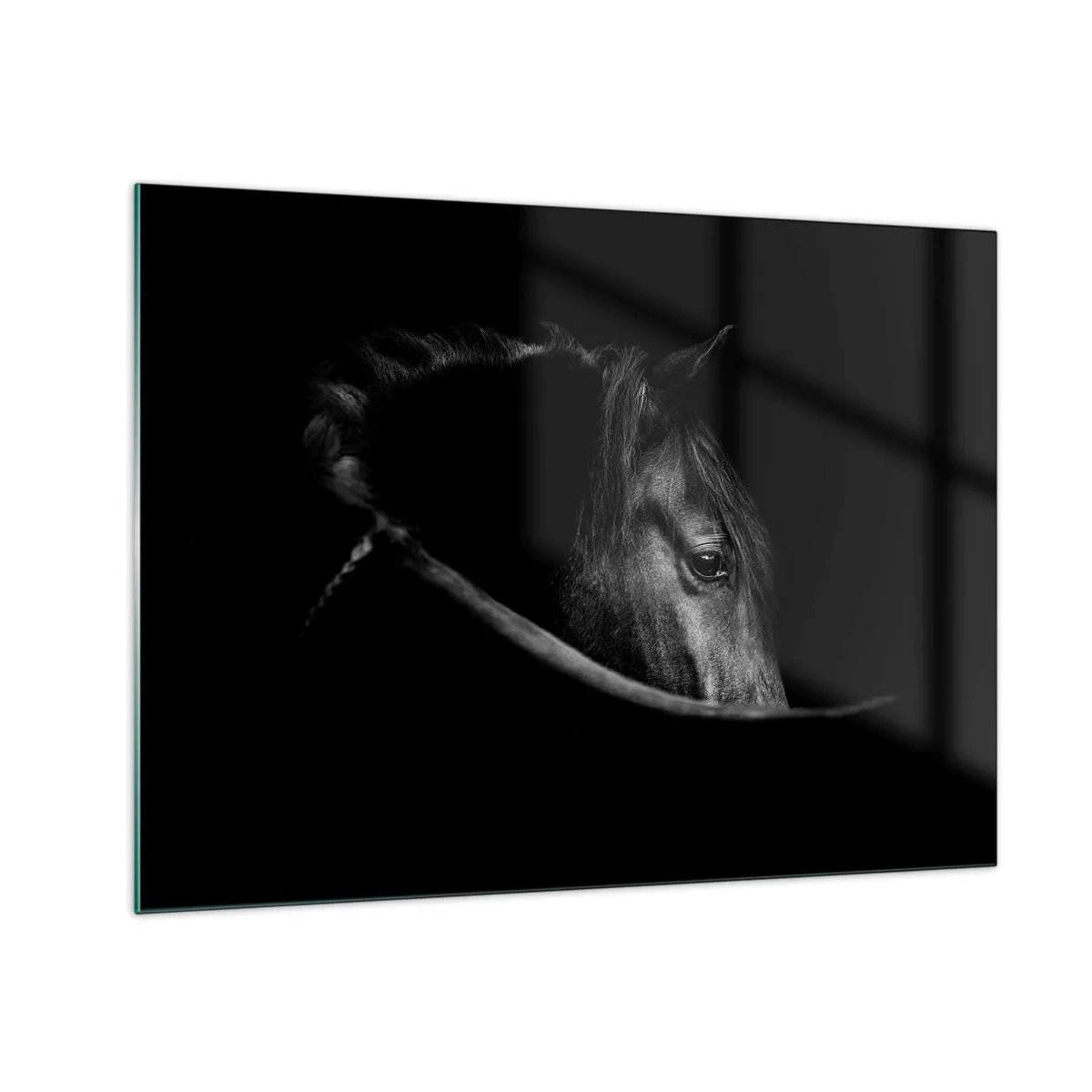 Tablou pe sticlă - Profilul unui cal negru în umbră cu un ochi vizibil - 70x50cm - Prințul negru - Decorațiune modernă pentru perete pentru living și dormitor ARTTOR
