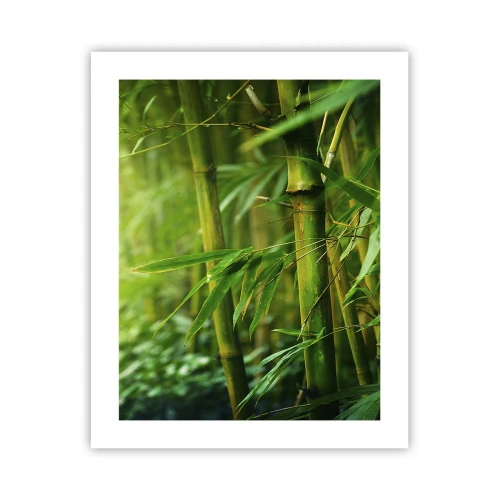 Poster - Cunoașteți verdeața în sine - 40x50 cm