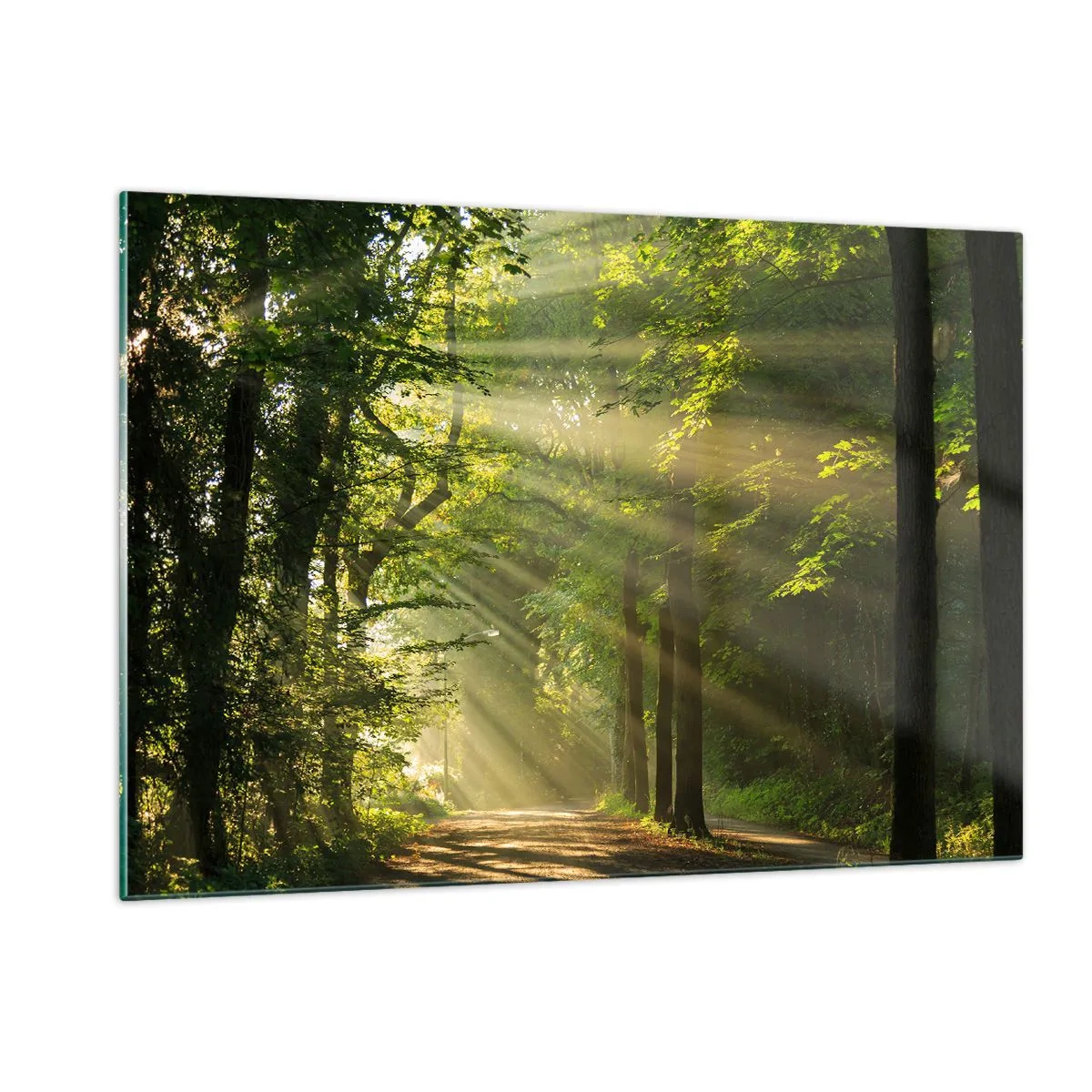 Tablou pe sticlă - Moment de pădure - 120x80 cm